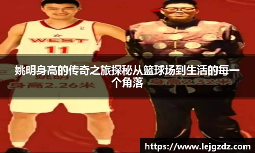 XK星空体育官网