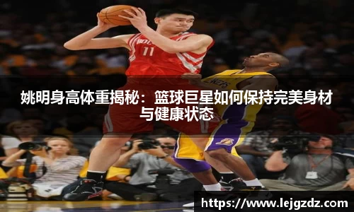XK星空体育下载