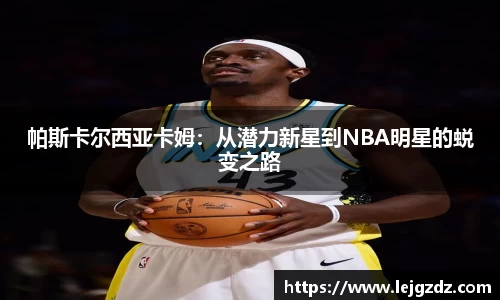 XK星空体育下载