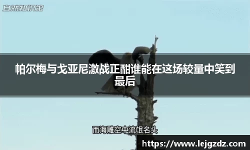 XK星空体育官网